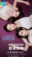 Dear Enemy (2025)